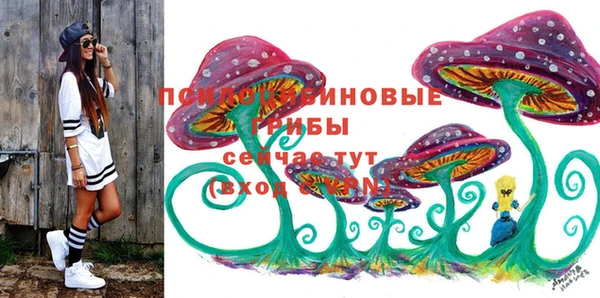 Альфа ПВП Алзамай