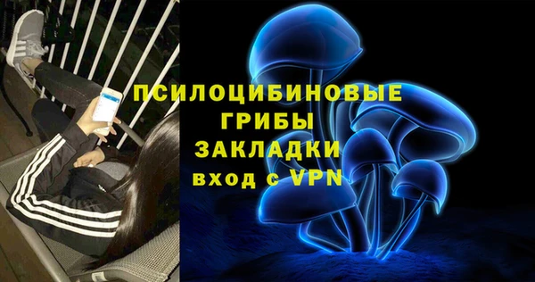 Альфа ПВП Алзамай